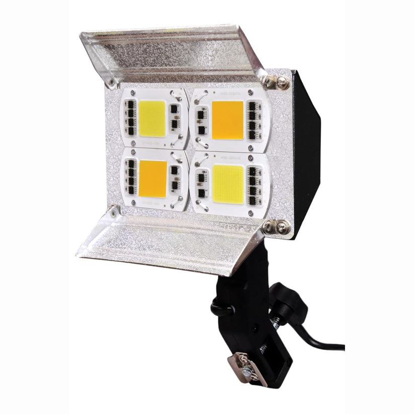 Prolite LED B4 Continuous Video Light (Sungun Light) (4 LED) for Camer ...